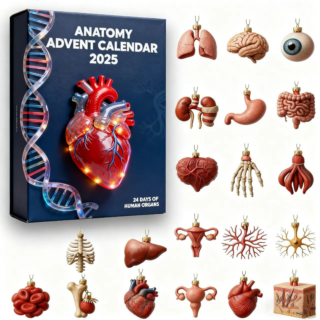 2025 Anatomický adventní kalendář